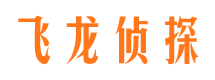 道孚商务调查